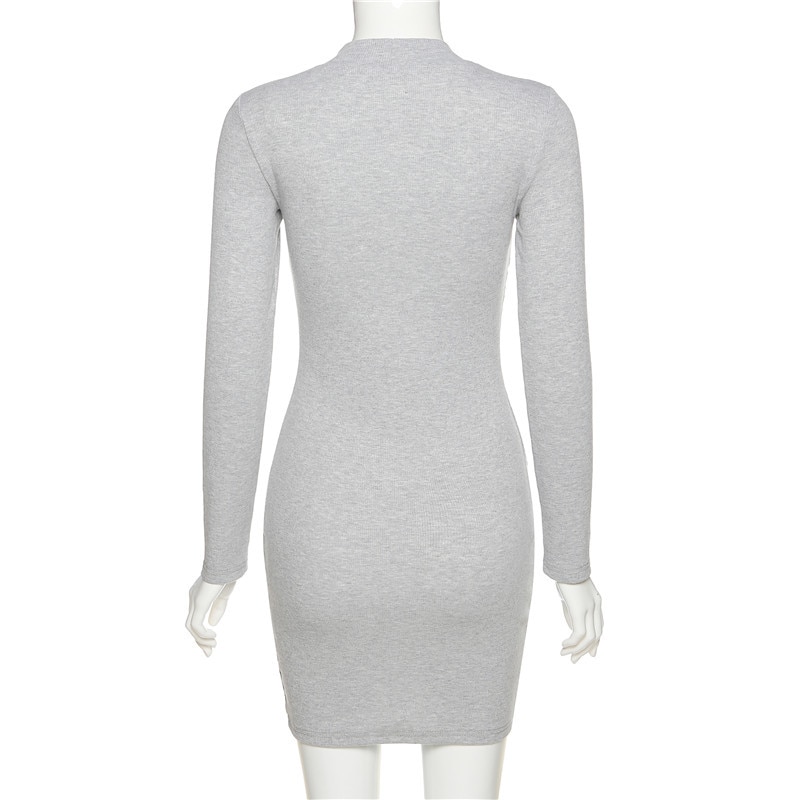 Women's Turtleneck Long Sleeved Dress