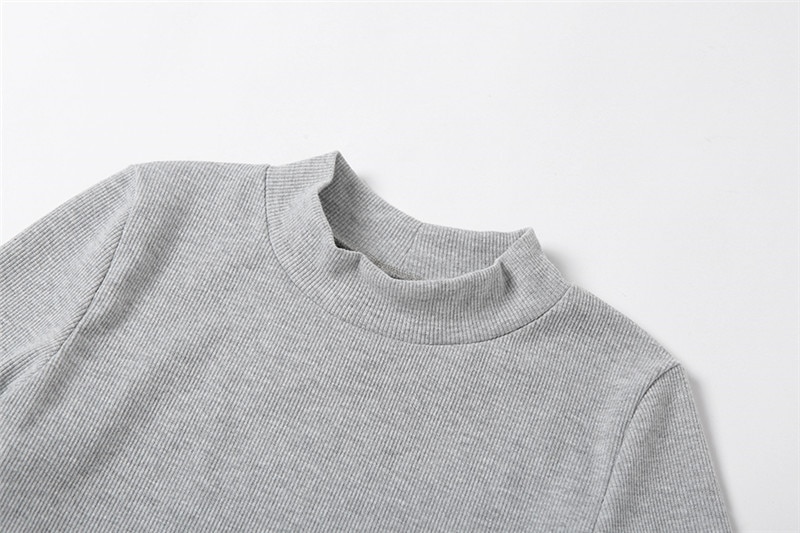 Women's Turtleneck Long Sleeved Dress